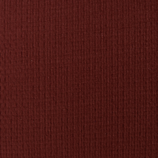 Anastasia Eyeshadow Back Rolls