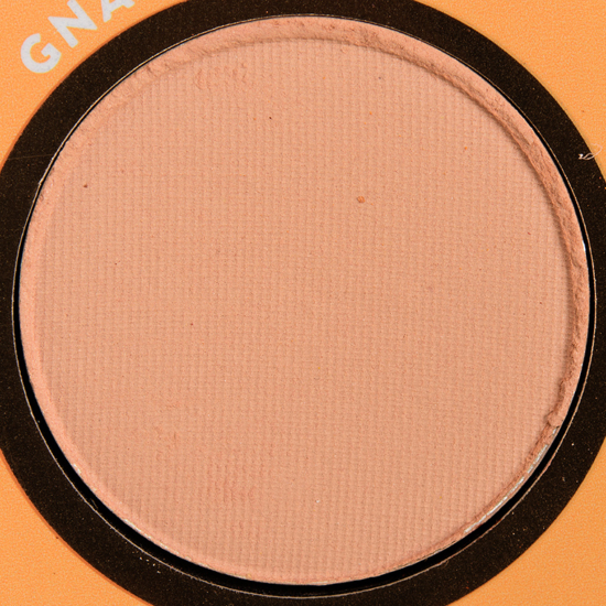 ColourPop Pressed Powder Shadow Gnarly