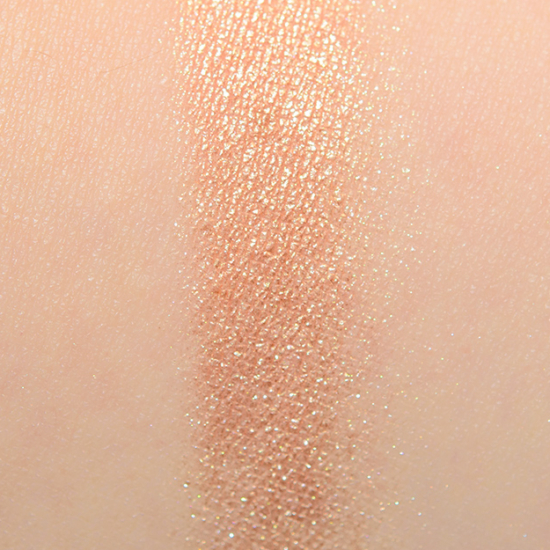 Dior Bronze Highlighter Backstage Eyeshadow