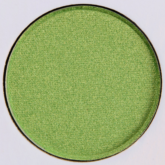 Morphe Eyeshadow Activism