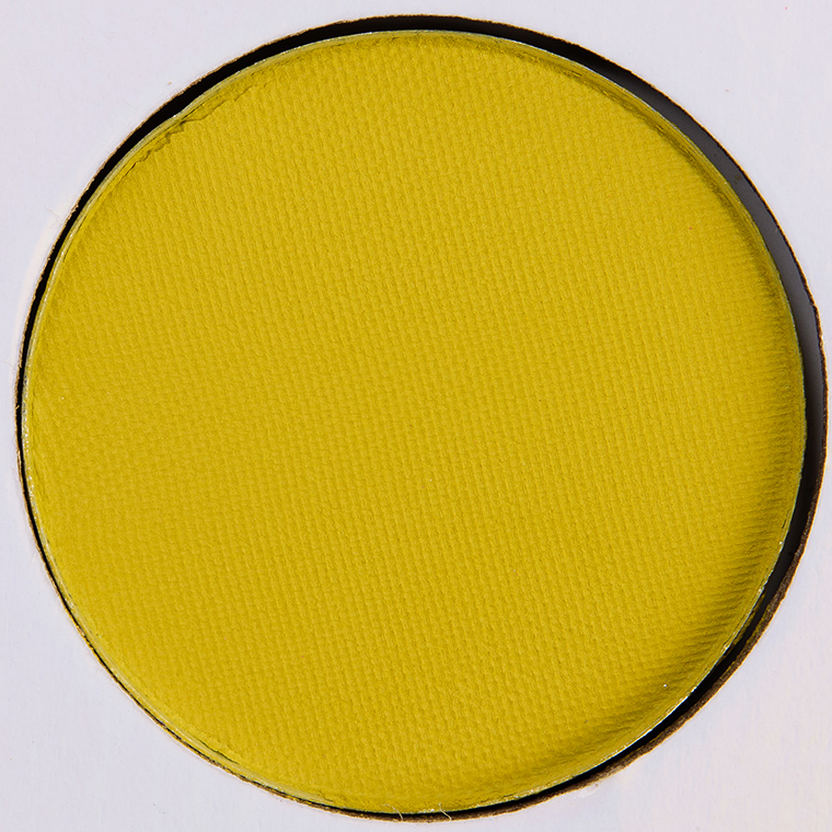 <p class="text-center">Morphe Thrive Eyeshadow</p>