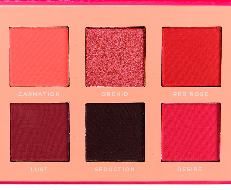 Ace Beaute Blossom Passion 12-Pan Eyeshadow Palette (Discontinued)