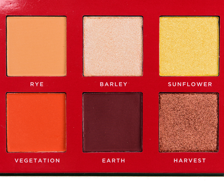 Ace Beaute Classical Paradise 12-Pan Eyeshadow Palette (Discontinued)