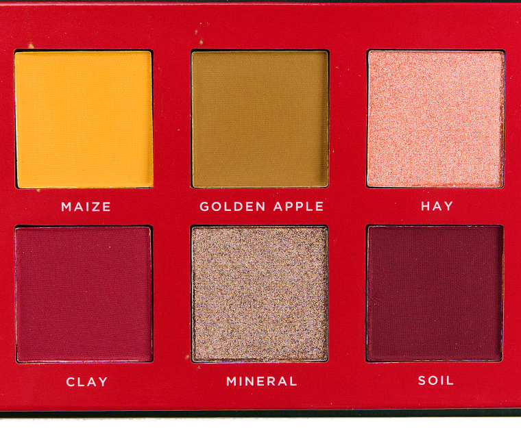 Ace Beaute Classical Paradise 12-Pan Eyeshadow Palette (Discontinued)