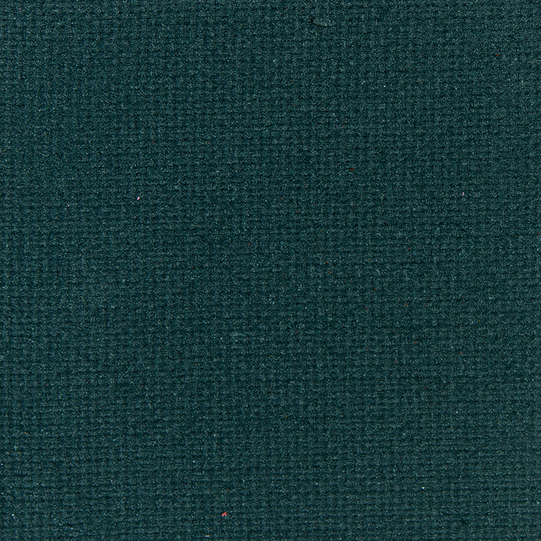 <p class="text-center">Ace Beaute Forest Pine Eyeshadow (Discontinued)</p>