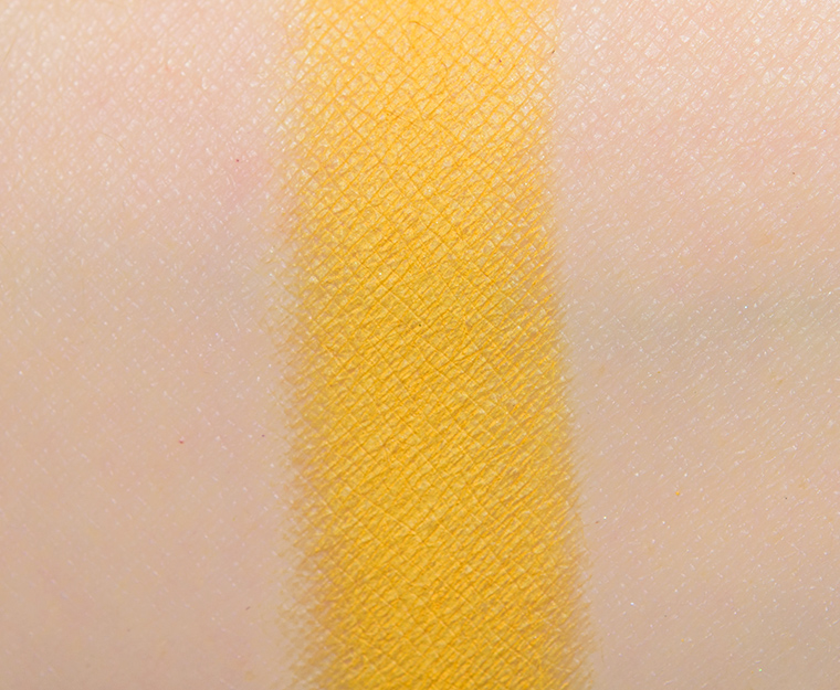 <p class="text-center">Ace Beaute Maize Eyeshadow (Discontinued)</p>