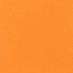 Ace Beaute Eyeshadow (Discontinued) Persimmon