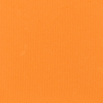 Ace Beaute Persimmon Eyeshadow (Discontinued)
