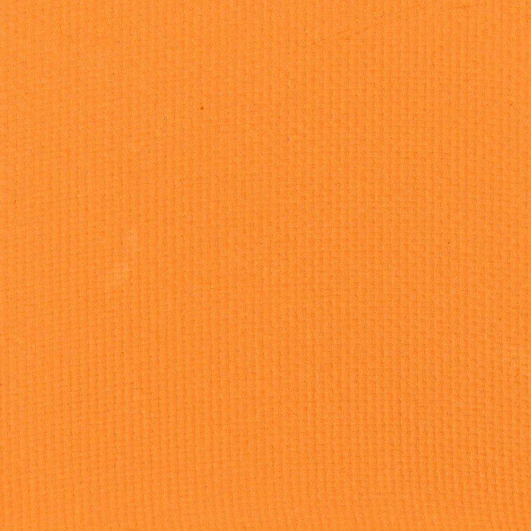 <p class="text-center">Ace Beaute Persimmon Eyeshadow (Discontinued)</p>