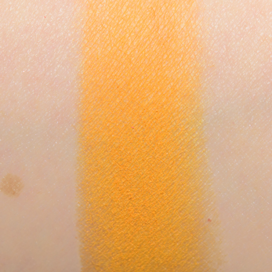 Ace Beaute Eyeshadow (Discontinued) Persimmon