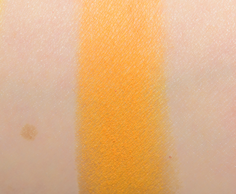 <p class="text-center">Ace Beaute Persimmon Eyeshadow (Discontinued)</p>