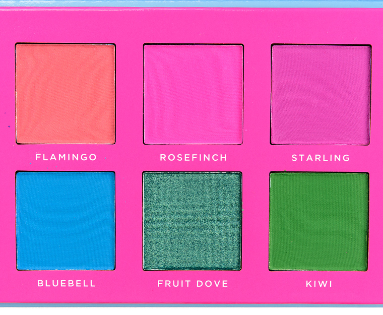 Ace Beaute Slice of Paradise 12-Pan Eyeshadow Palette (Discontinued)