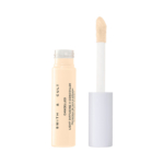 Smith and Cult 100 Cool Cancelled Light Diffusing V-Concealer