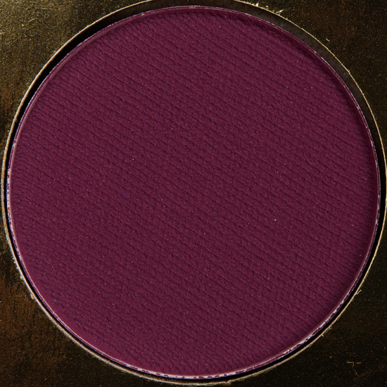 Coloured Raine Eyeshadow Testify