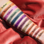 Viseart Dark Edit Palette for Fall 2019