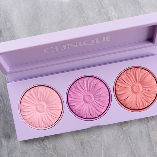 Clinique Cheek Pop Palette Cool Down