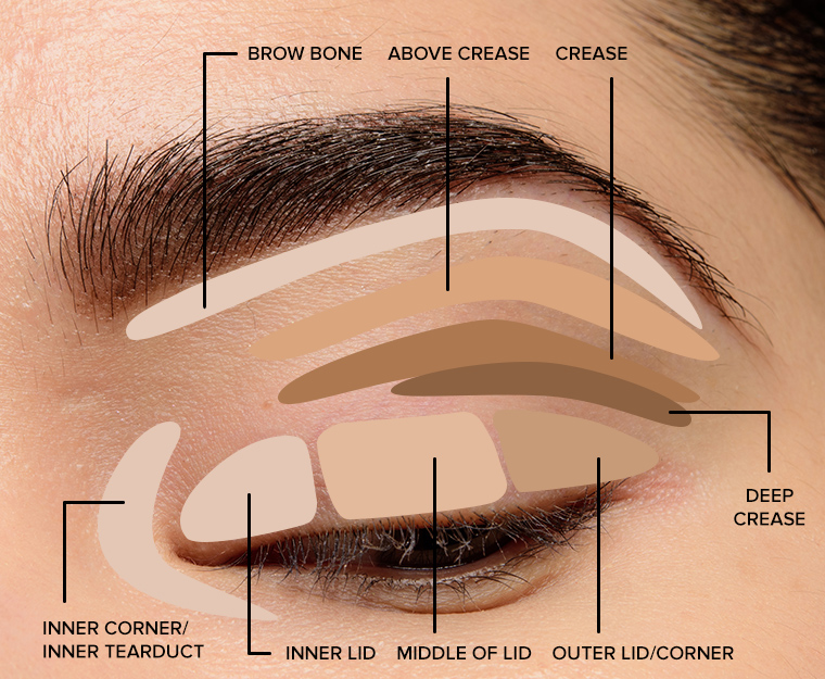 How to Blend Eyeshadow with 11 Tricks 2020 Temptalia
