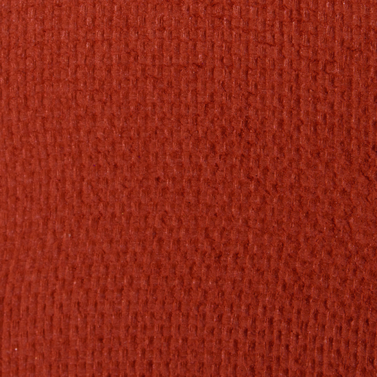 Viseart Eyeshadow Persimmon (Dark Matte #8)