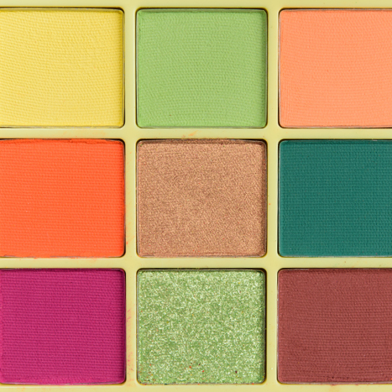 Anastasia Norvina Mini Vol. 2 Norvina Mini Pro Pigment Palette