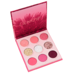 ColourPop Love Bird Palette