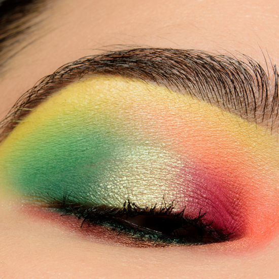 Anastasia x Norvina Mini Vol. 2 | <a href="https://www.temptalia.com/looks/anastasia-x-norvina-mini-vol-2-eyeshadow-look/">Look Details</a>