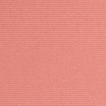 NARS Spark Got Hot Powder Blush