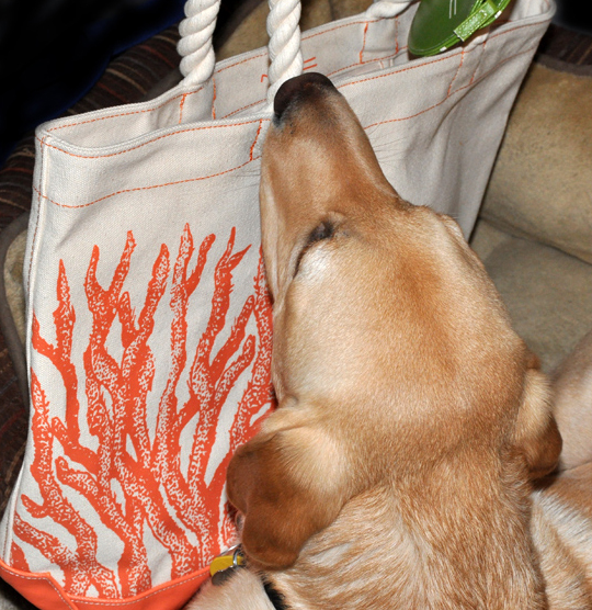 beachbag003