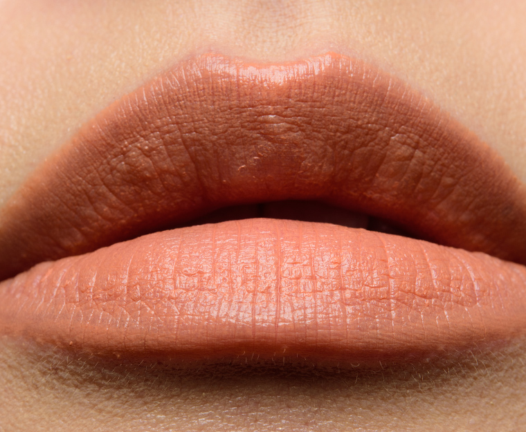 Shiseido Cyber Beige (201) VisionAiry Gel Lipstick