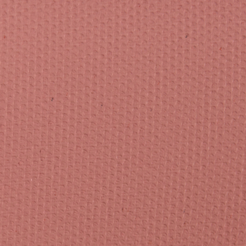 Too Faced Warm Rose Eyeshadow