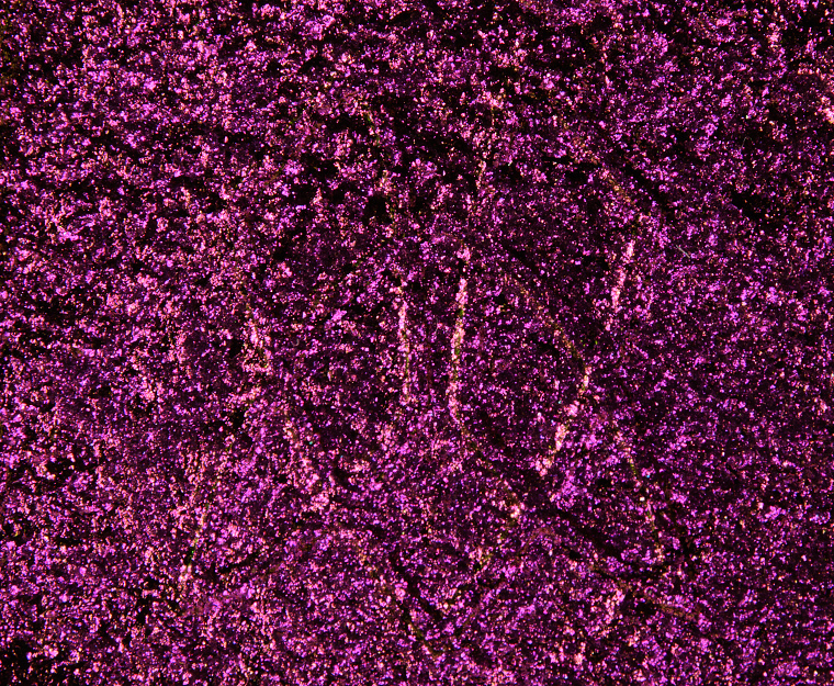 Clionadh Smoulder Jewelled Multichrome Eyeshadow