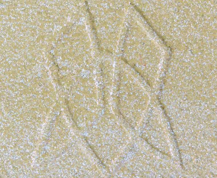 Clionadh Umbra Iridescent Multichrome Eyeshadow (Series 1)