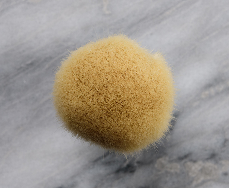 Beautylish Hachiko Brush Launches August 26th