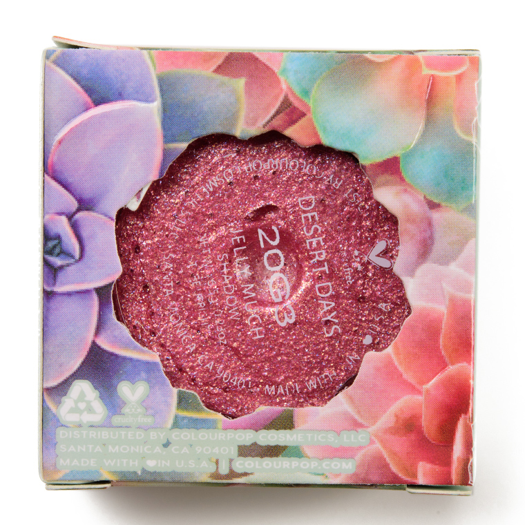 ColourPop Desert Days Jelly Much Eyeshadow