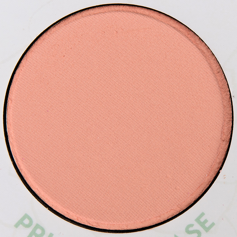 ColourPop Prickly Please Pressed Powder Shadow