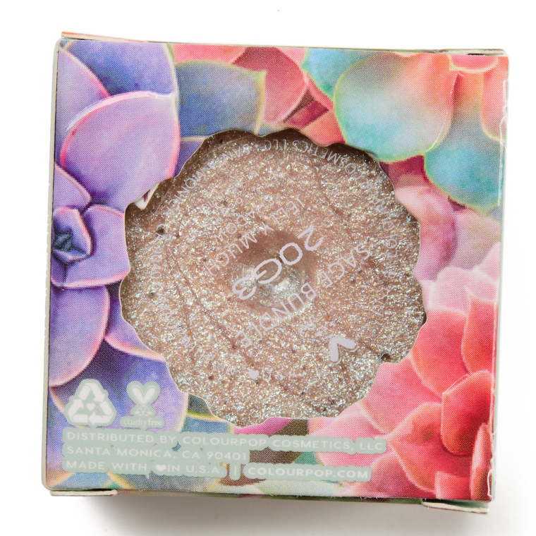 ColourPop Sage Bundle Jelly Much Eyeshadow