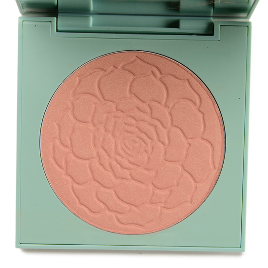 ColourPop Terran Up My Heart Pressed Powder Blush Review & Swatches