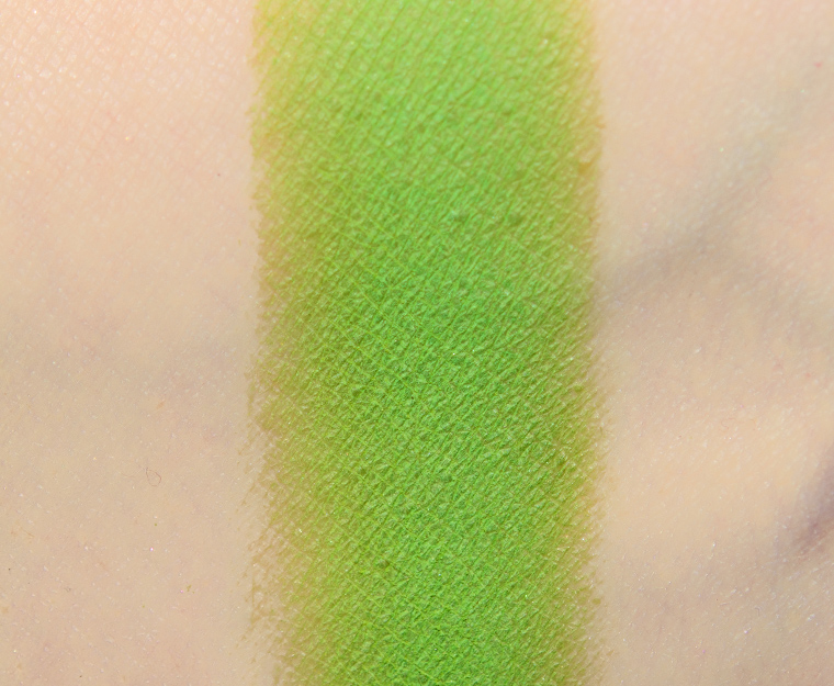 Coloured Raine Mint Leaves Eyeshadow