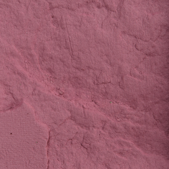 Sydney Grace Matte Shadow Luv Bug