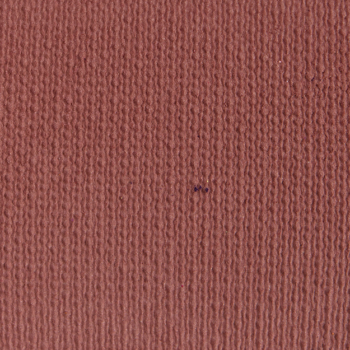 Too Faced Love You a Latte Eyeshadow