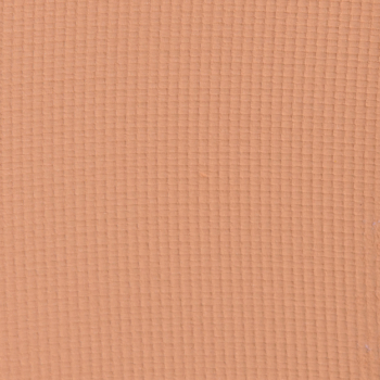 Fenty Beauty Honey Splash Eyeshadow