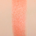 Rare Beauty Grounded Eyeshadow