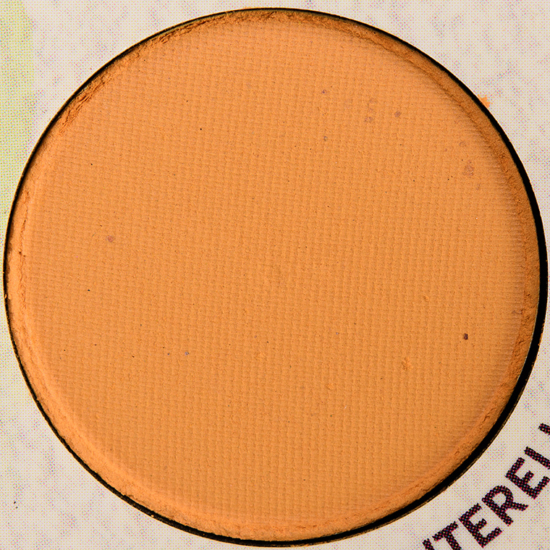 ColourPop Pressed Powder Shadow Chanterelle