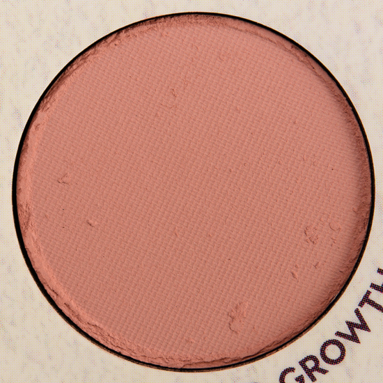 ColourPop Pressed Powder Shadow Old Growth