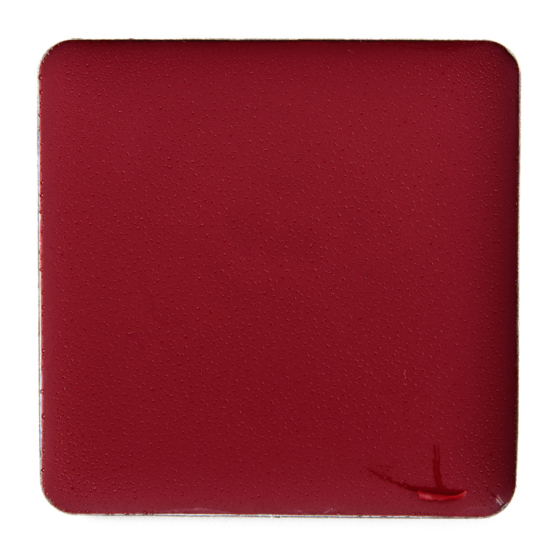 Salt New York Cranberry Lip and Cheek Crème Tint
