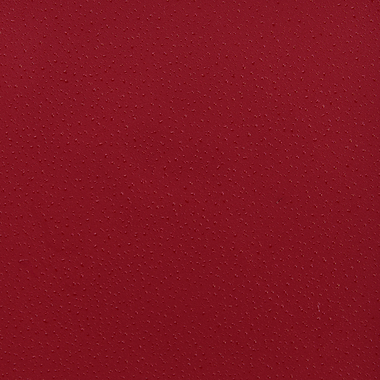 Salt New York Cranberry Lip and Cheek Crème Tint
