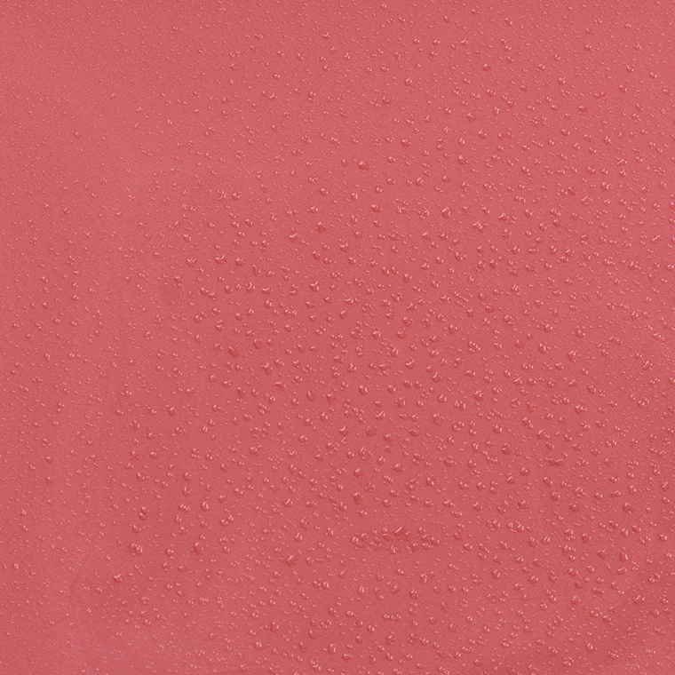 Salt New York Rose Lip and Cheek Crème Tint