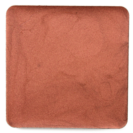 Salt New York Rust Radiant Crème Tint Pro