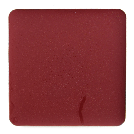 Salt New York Spice Lip and Cheek Crème Tint