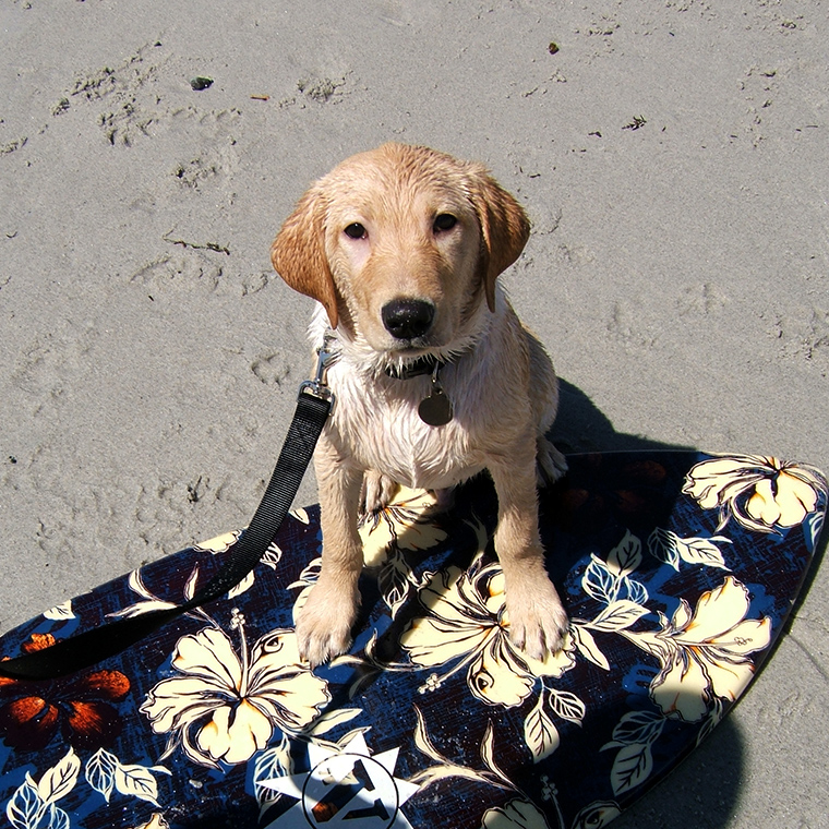 Mellan at the Beach!