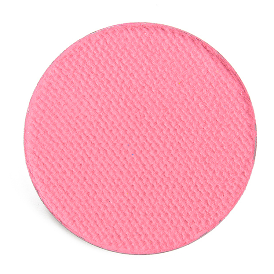 Terra Moons Matte Eyeshadow Palm Reader